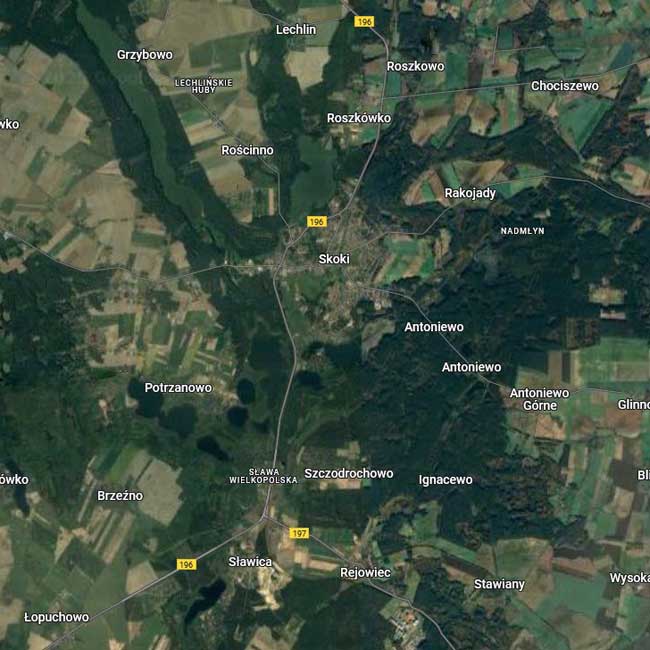 Obszar działania Grupy Rejonowej nr 1 w Poznaniu