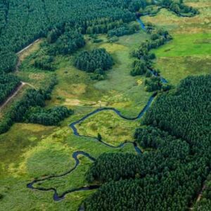 Działamy dla przyszłości